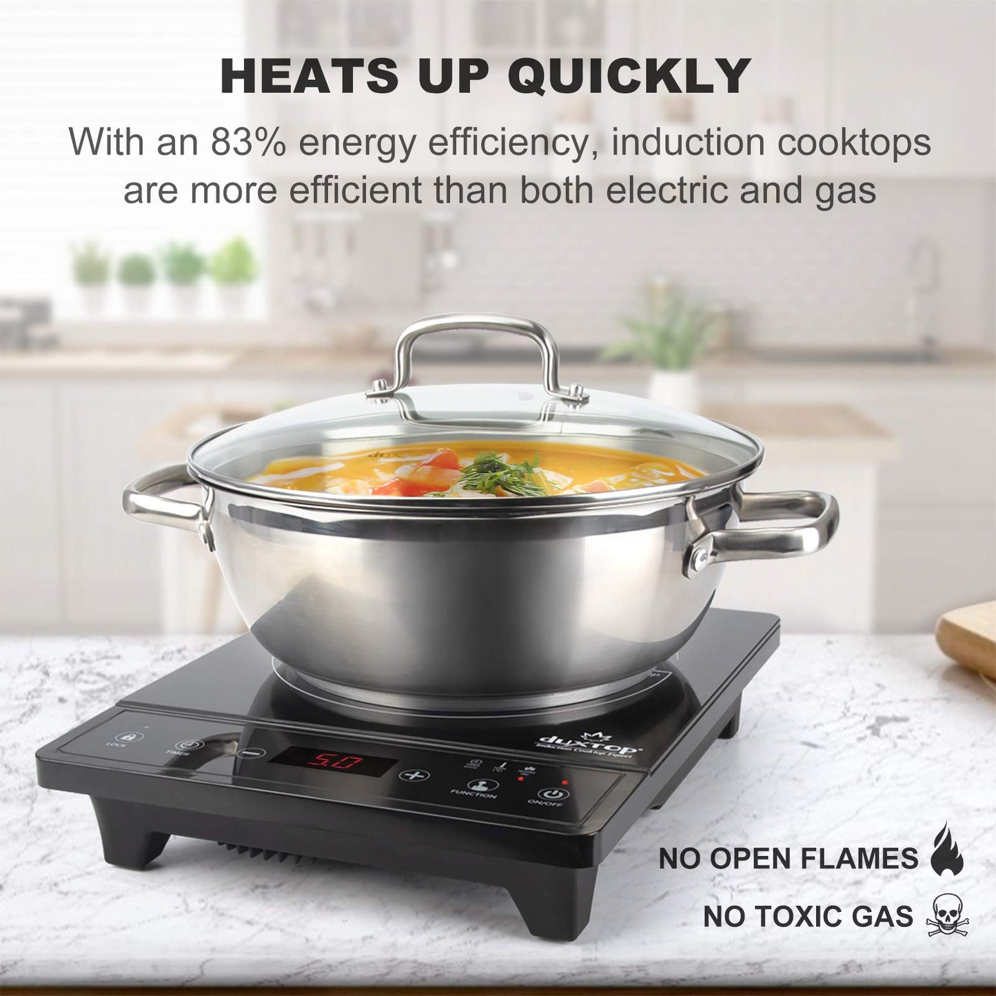 Duxtop Portable Induction Cooktop, Countertop Burner, Induction Burner with Timer